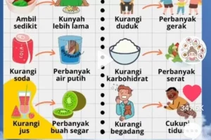 Menguak Rahasia Di Balik Piring Kebiasaan Kecil Yang Membantu Menu Diet Yang Jarang Dibahas